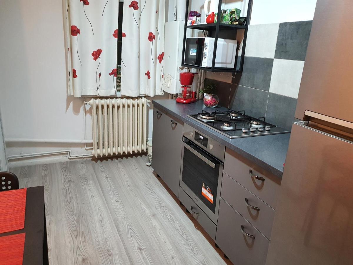 Mia Central Apart, 3 Rooms, 2 Baths, Afi Mall Брашов Екстериор снимка